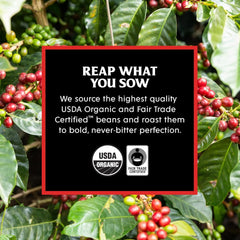 Espresso Roast + Medium Roast Bundle